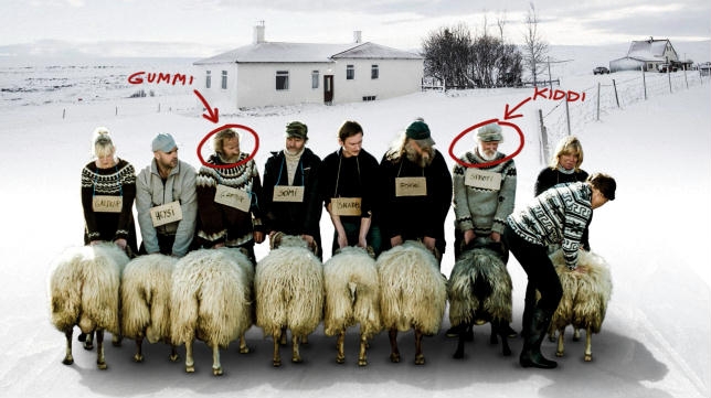 Rams. Un piccolo grande film. Recensione