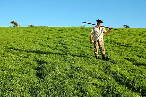 Crisi economica. Segno positivo per l’agricoltura