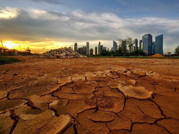 Clima. I giorni della merla, altro che freddo, è caldo record