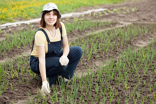 Agricoltura. Boom di ragazze nei campi