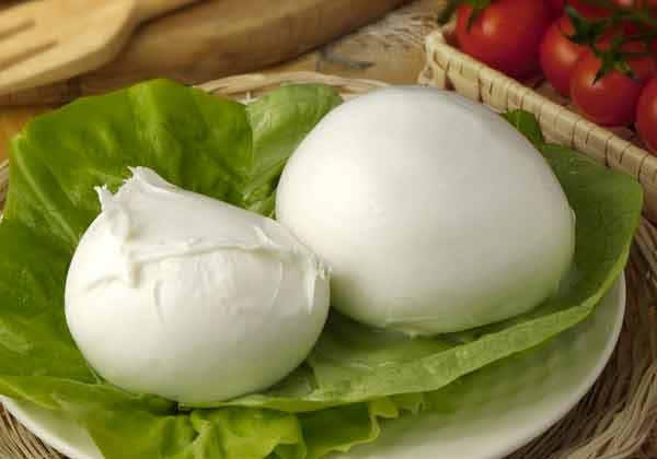 Mozzarella. Aumenta la produzione, aumentano i mercati, aumentano i controlli su tutta la filiera