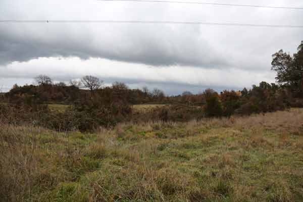Sulla Via Laurentina un mega biodigestore per accogliere l’umido della Capitale