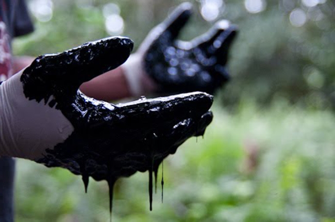 Una nuova agenda per il Parlamento dopo la legge sugli Ecoreati
