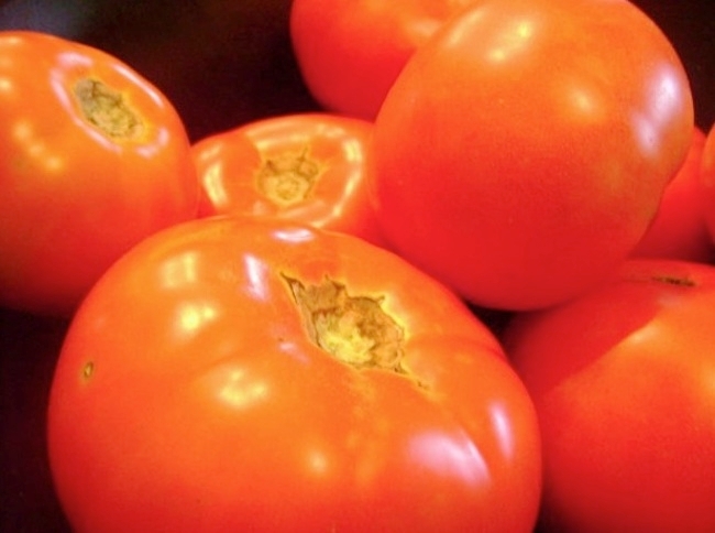 L’Unione Europea si accorda con il Marocco e affossa il pomodoro italiano