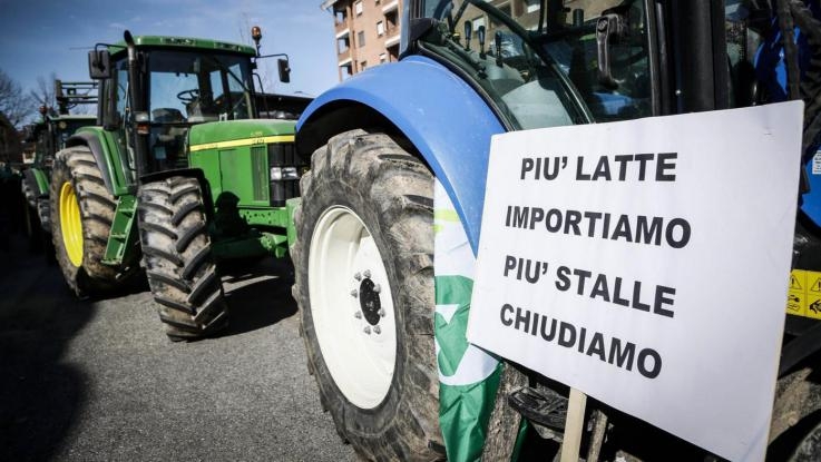Torna la guerra del latte. Allevatori in piazza