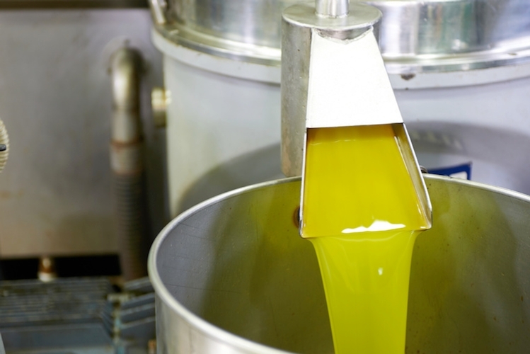 L’Europa affossa l’olio italiano per quello tunisino. Scatta la protesta