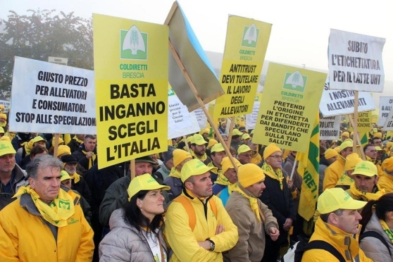 Tonnellate di latte da buttare, colpa di una politica sorda