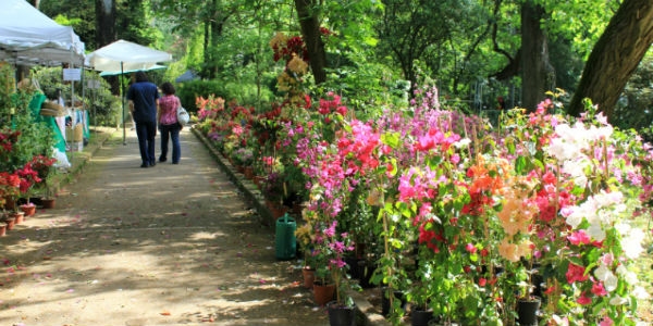 Primavera alla Landriana 2016