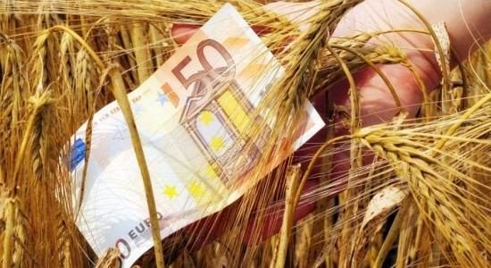 Agricoltura, il bersaglio preferito della criminalità