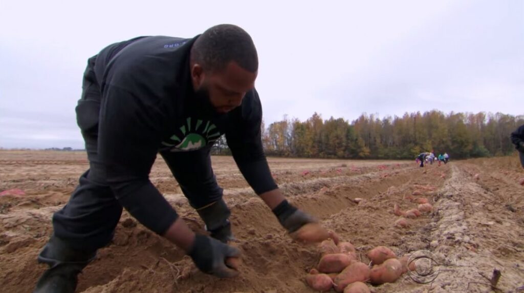 Agricoltura. “isoliamo chi sfrutta la manodopera in nero”