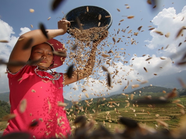 Pianeta Terra, un mondo da salvare. Fotografie di Luca Bracali