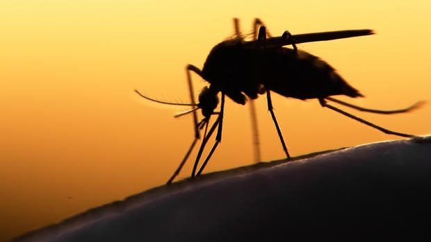 Colombia: 61.393 casi di contagio da Zika, 11.239 donne incinte