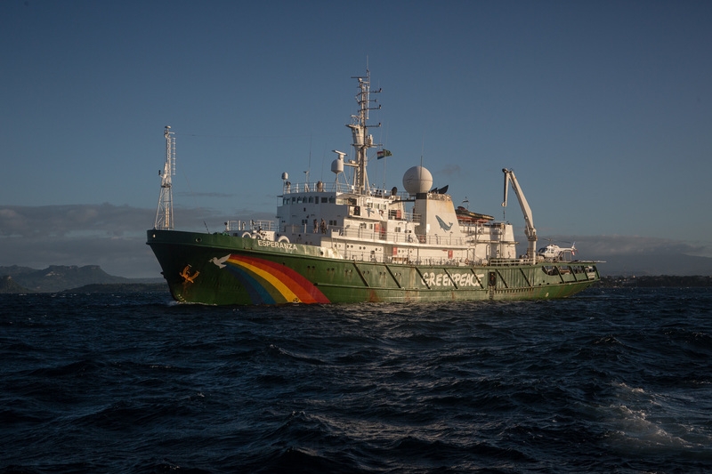 Greenpeace contro la pesca distruttiva del tonno mareblu. LE FOTO