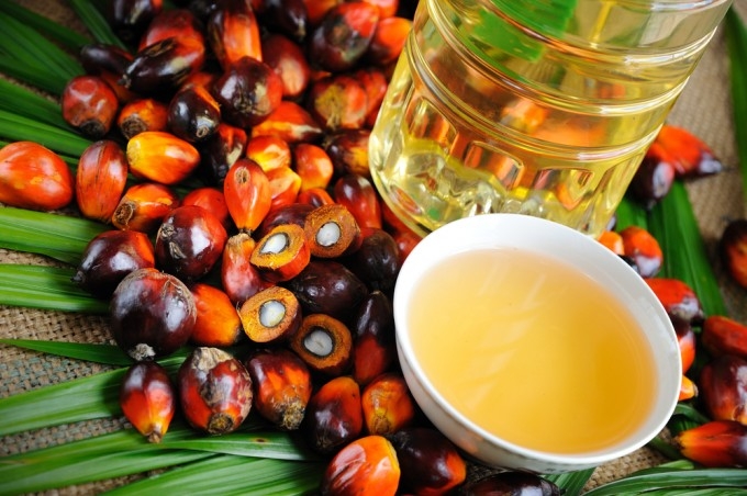 Arriva la conferma. L’olio di palma fa male
