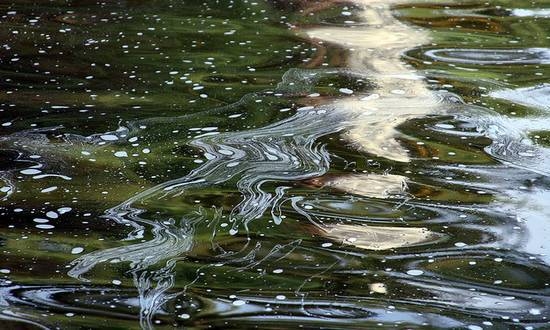 Dati Ispra: allarme pesticidi nelle acque