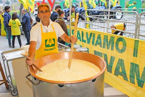 Latte. In 10 anni dimezzate le stalle italiane