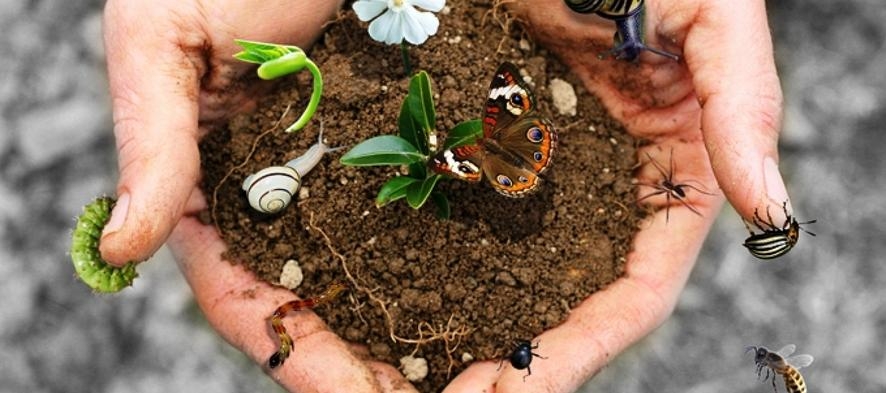 22 maggio Giornata Mondiale della Biodiversità