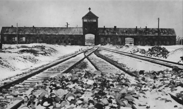 Shoah: finalmente digitalizzate e catalogate le interviste video a sopravvissuti che ho donato a Yad Vashem