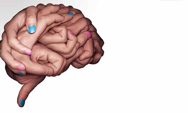Ha un sesso il cervello?