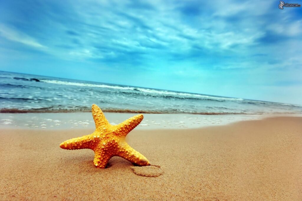 Il mare più bello 2016. La Guida blu di Legambiente e Touring Club Italiano