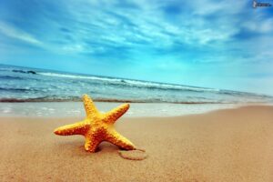 Il mare più bello 2016. La Guida blu di Legambiente e Touring Club Italiano