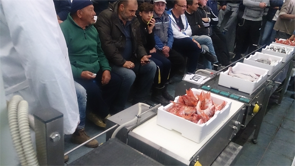 Pesce. Col fermo biologico attenti agli inganni