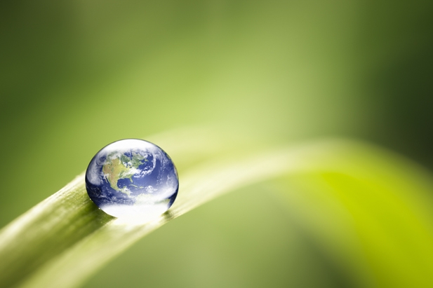 Le linee guida a tutela dell’ambiente