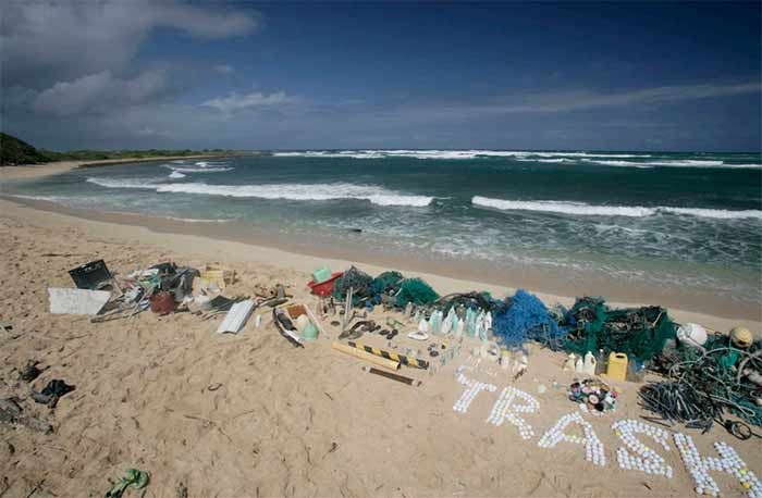 Plastica nei pesci e nei frutti di mare. La denuncia di Greenpeace