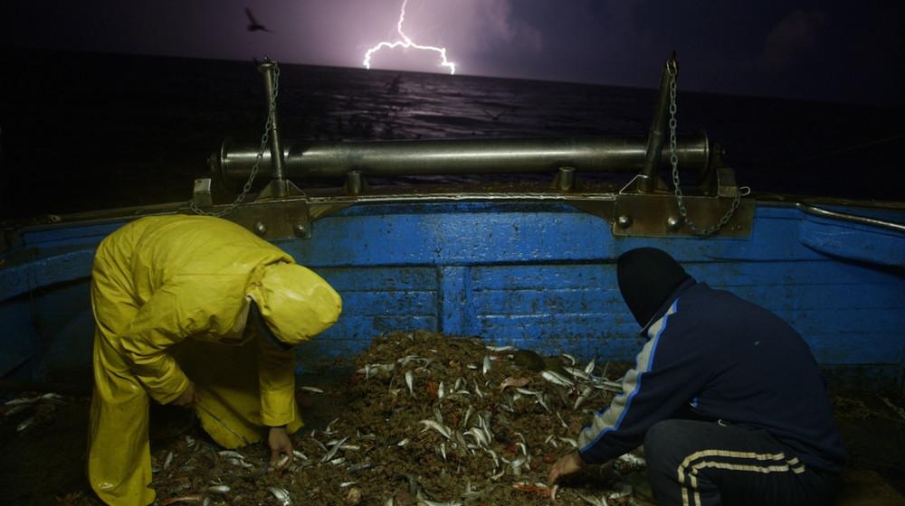 Il vento del nord.  Film d’apertura “Lampedusa d’inverno”