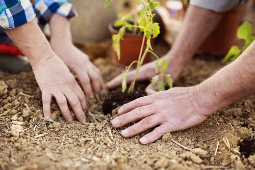 Lavoro. Agricoltura sociale, ora i decreti attuativi