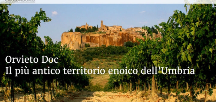 Presentato a Palazzo del Capitano di Orvieto l’ambizioso progetto “Orvieto diVino”