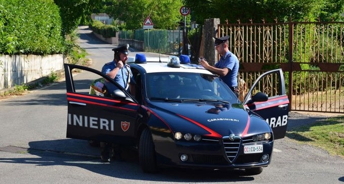Arrestati  padre e figlio, coltivavano canapa indiana