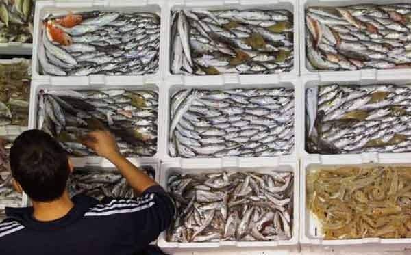 Pesce. Ecco come viene etichettato.Il video di Greenpeace