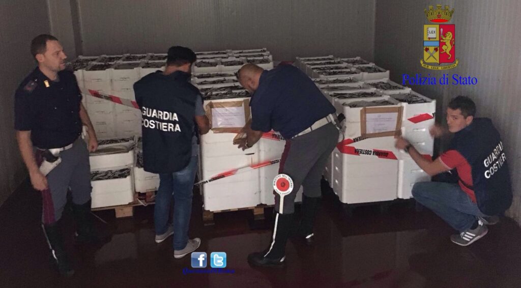 Roma. Sequestro a Roma di 2 tonnellate di pesce irregolare