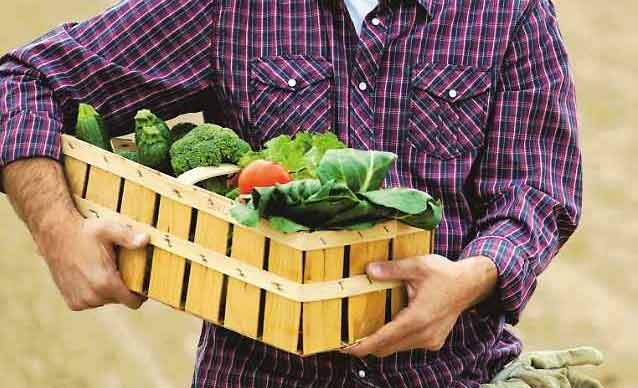 E’ boom di mercati contadini. Quattro italiani su dieci direttamente dal produttore