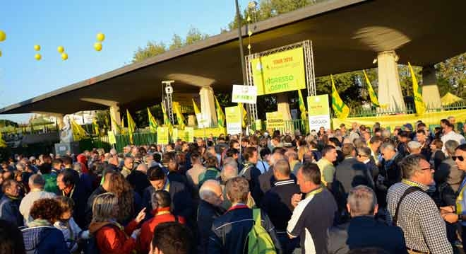 Consumi. Diecimila in piazza per salvare l’olio italiano