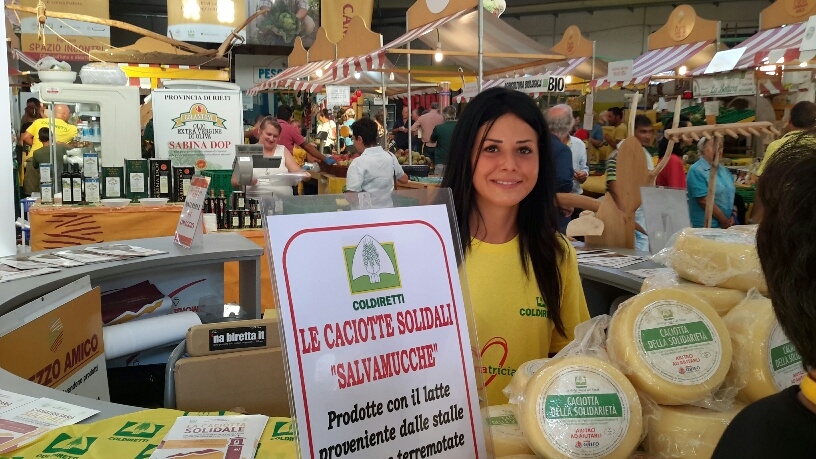 Arriva la caciotta salva mucche. Il raccolto delle vendite alle aziende colpite dal sisma