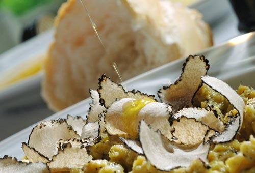 Fiere del tartufo? Un business da mezzo miliardo di euro