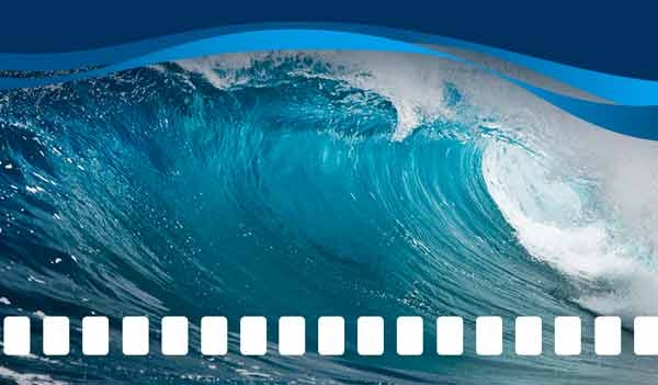 Casa del Cinema. Aqua Film Festival . I Premiati