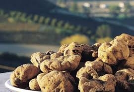 Arriva il maltempo scoppia la stagione del tartufo