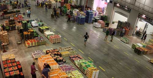 Agromafia, rincaro dei prezzi al 300%, gente nei campi sfruttata