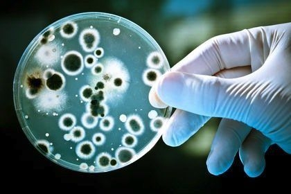 Rischio bioterrorismo da ‘taglia e incolla’ Dna
