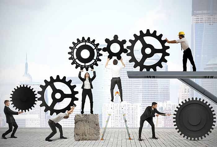 Lavoro. Commercio e agricoltura, ecco dove puntano i giovani