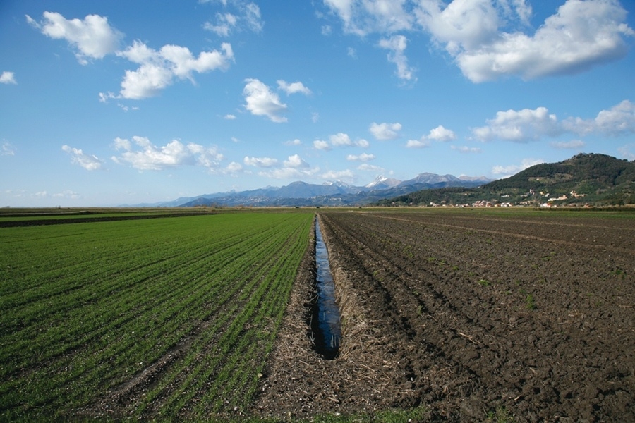 Consorzi di bonifica. Le organizzazioni agricole sollecitano la Regione Lazio. Dove sono i commissari?