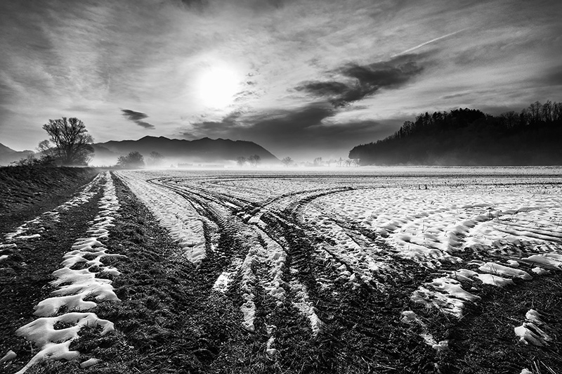 Maltempo. L’inverno rigido ha provocato 400 milioni di danni nei campi