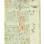 Codice_Volo_17V