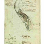 Codice_Volo_18v