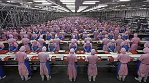 Digital Labour. Licenziamenti per robot fuori dall’industria