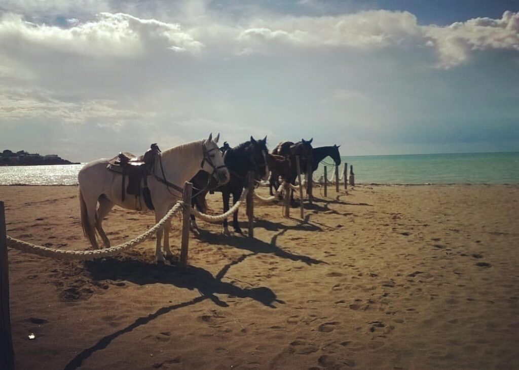 Turismo a cavallo: Scoprire bellezze, eccellenze e luoghi inediti del Belpaese