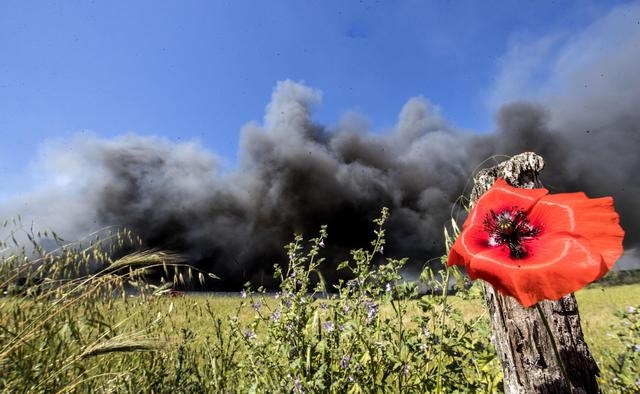 Rogo Pomezia. Un tavolo per quantificare i danni all’agricoltura